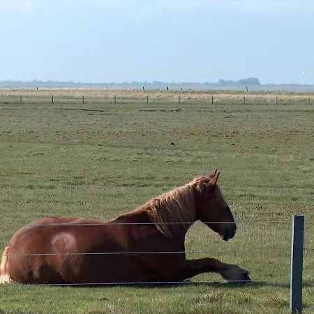 Seevilla Wietjes Whg 3 Lägenhet *