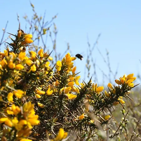 Lägenhet Seevilla Wietjes Whg 3 *