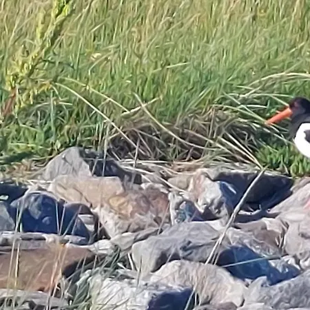 Lägenhet Seevilla Wietjes Whg 3 *