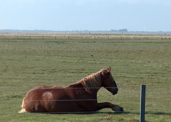 Seevilla Wietjes Whg 3 Appartamento *