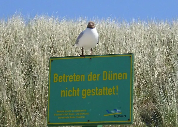 Seevilla Wietjes Whg 3 Appartamento