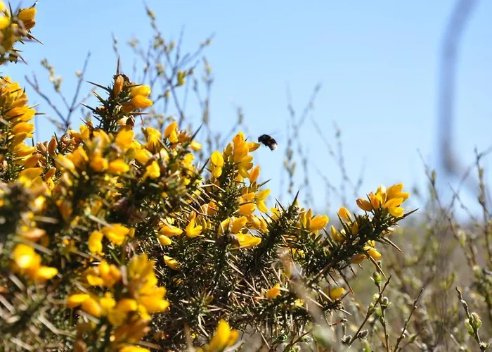 Appartamento Seevilla Wietjes Whg 3 *