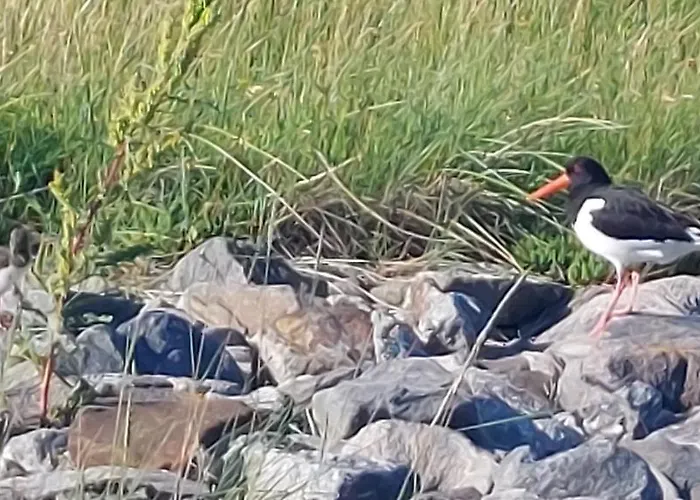 Apartament Seevilla Wietjes Whg 3 *